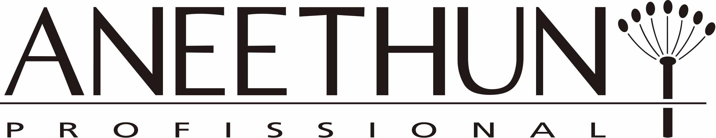 Logo Aneethun_Vetor_Preta_AI